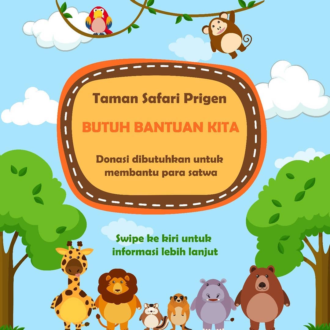 ideakreasi2's tweet photo. Taman Safari Prigen Butuh Support https://t.co/6Mv1To7EFz