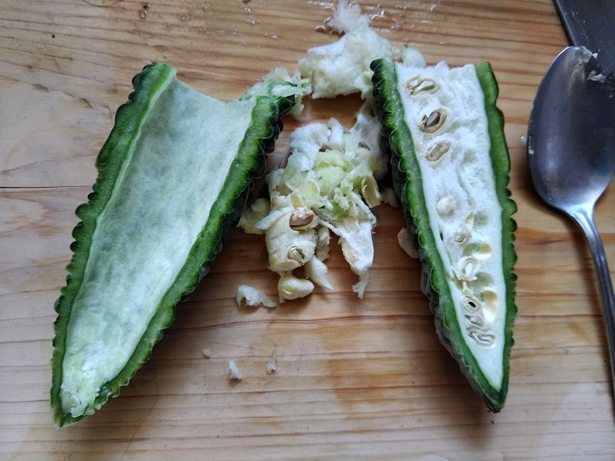 犬小屋 お土産でもらった軟骨ソーキ せっかくなのでゴーヤチャンプルーと一緒に食べた ゴーヤは白い部分が苦いらしいので 取り除いて調理 豆腐ようもマイルド系でうまかった