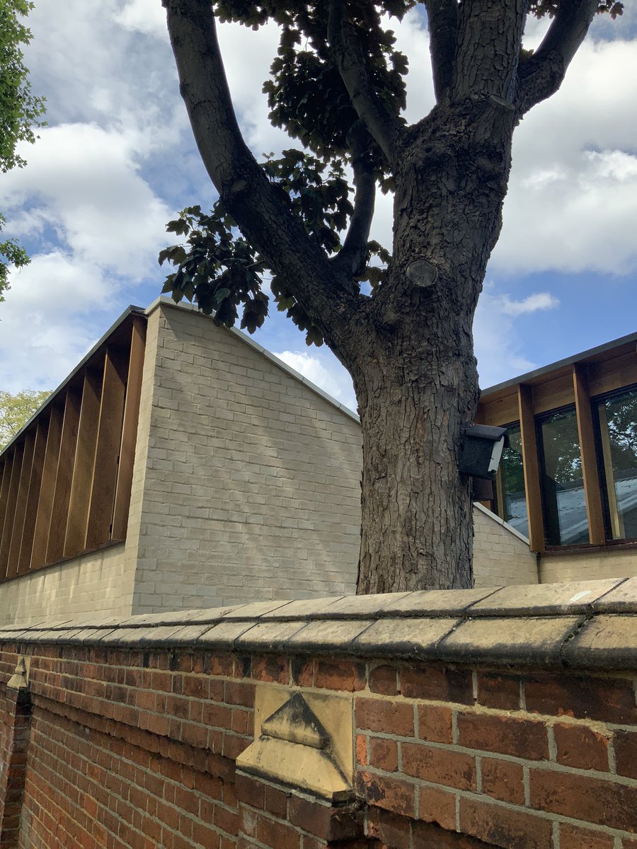 SEACCFulham tweet media