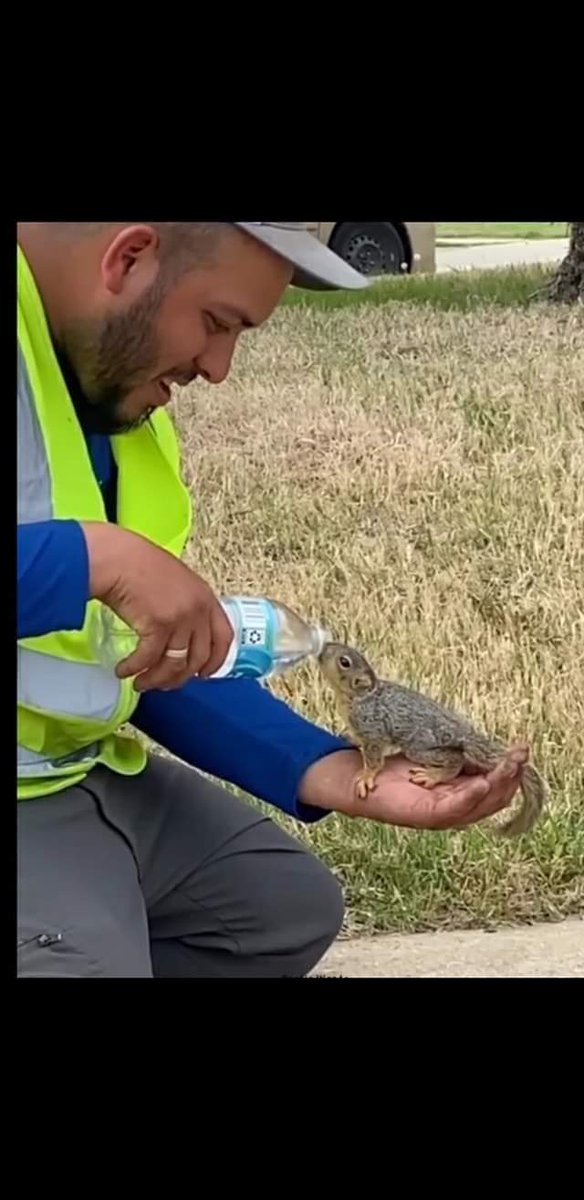 Siyah (@chequevera06) on Twitter photo Yılın fotoğrafı bu işte.... Yılın fotoğrafı bu işte....