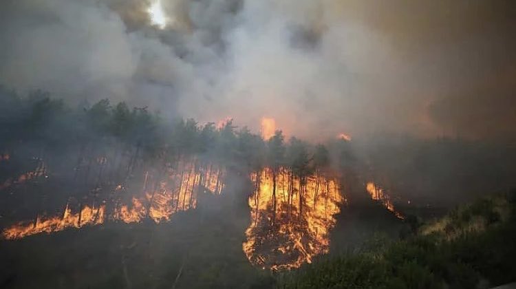 It is sad that we haven’t get any support message from <a href="/OfficialWRC/">FIA World Rally Championship</a> or <a href="/fia/">FIA</a> community about Turkey wildfire.😔We fought the fire in the forests last 10 days where the Rally of Turkey stages were run.Marmaris hosted WRC events for 3 years but it is like everyone forgot about it.