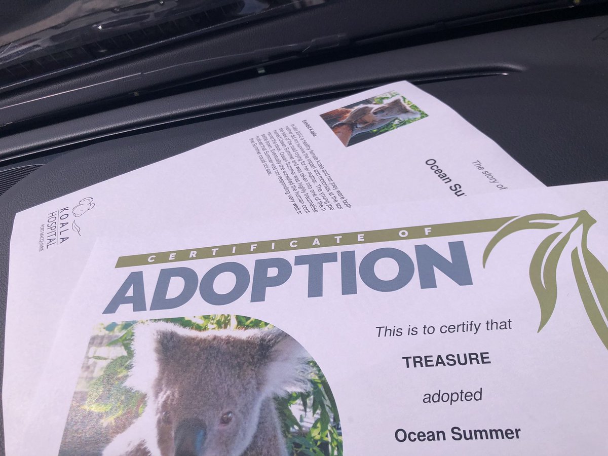 TREASURE_AUSSIE's tweet photo. Australian Fanbase little pressie for #TREASURE 🙌🏻❤️

Along with these flowers is a Certificate of Adoption for a Koala we adopted in Treasure’s name 🐨☺️ https://t.co/5lMVsoqd34