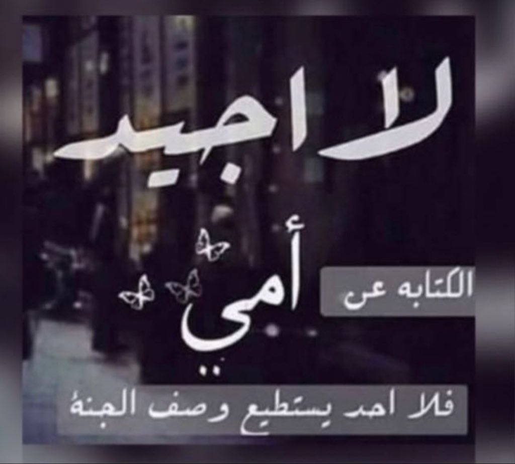 راشد بن حمد الودعاني المري (@__rhr) on Twitter photo 