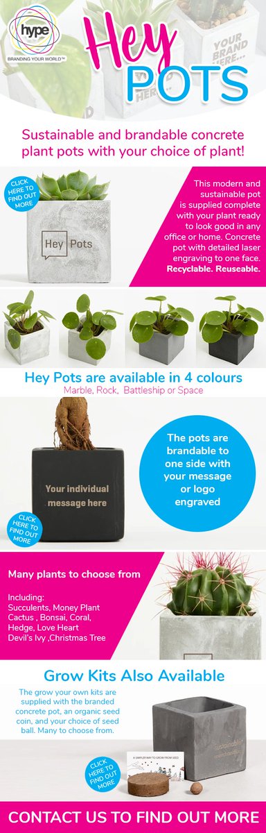 Hey Pots - Sustainable and brandable concrete pots with your choice of plant. Make your desk a greener place to be ! conta.cc/3lzKFHZ