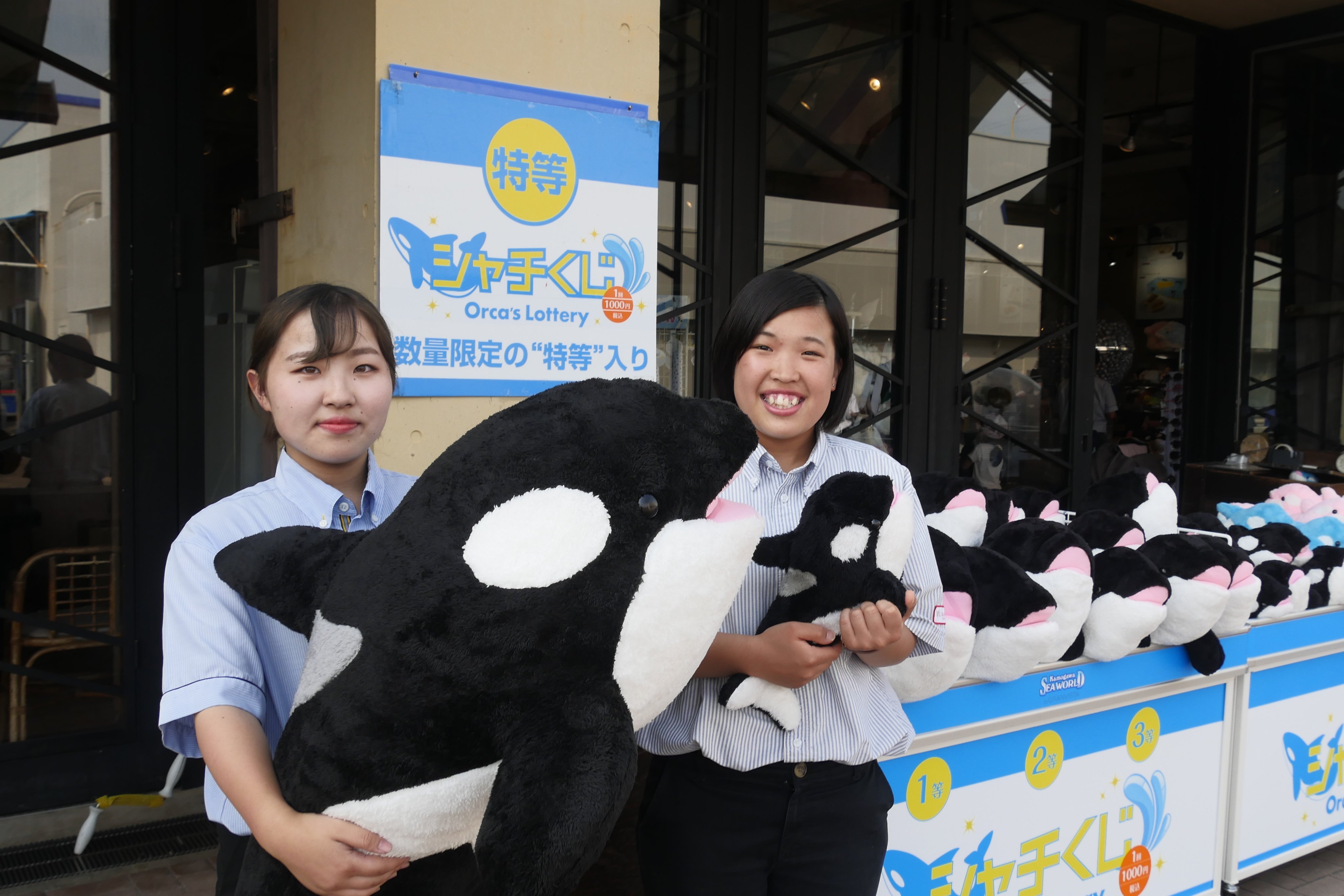 一等】鴨川シーワールド シャチ ぬいぐるみ 特大