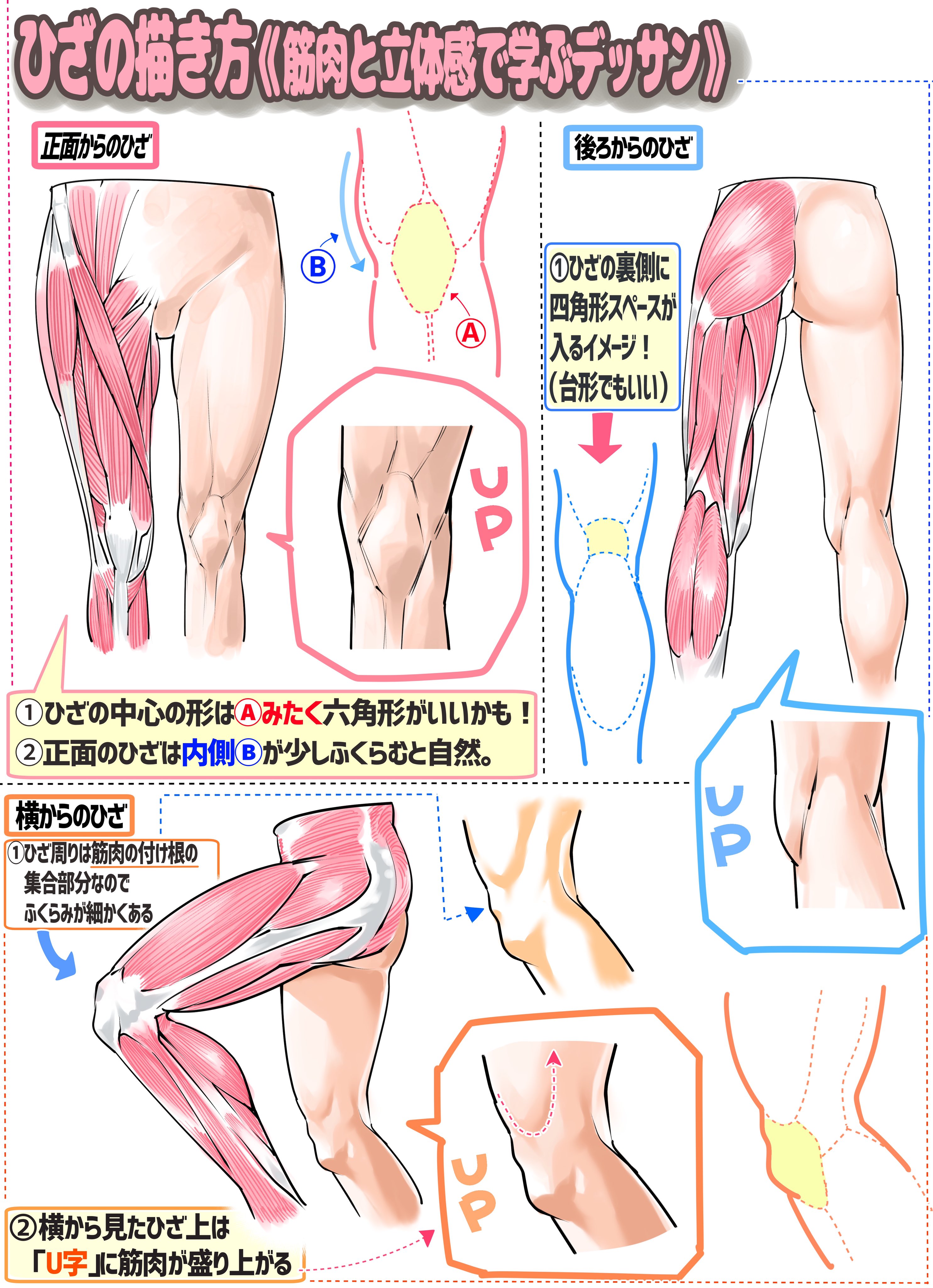 吉村拓也 イラスト講座 在 Twitter 上 男性の足の筋肉ってどうなってんのー ってときの 練習方法とカラー図解 T Co Kyjz6hk31l Twitter