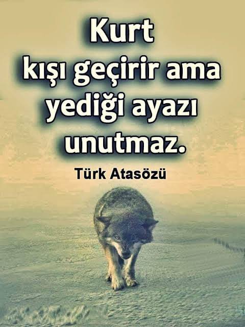 Feridun tweet media