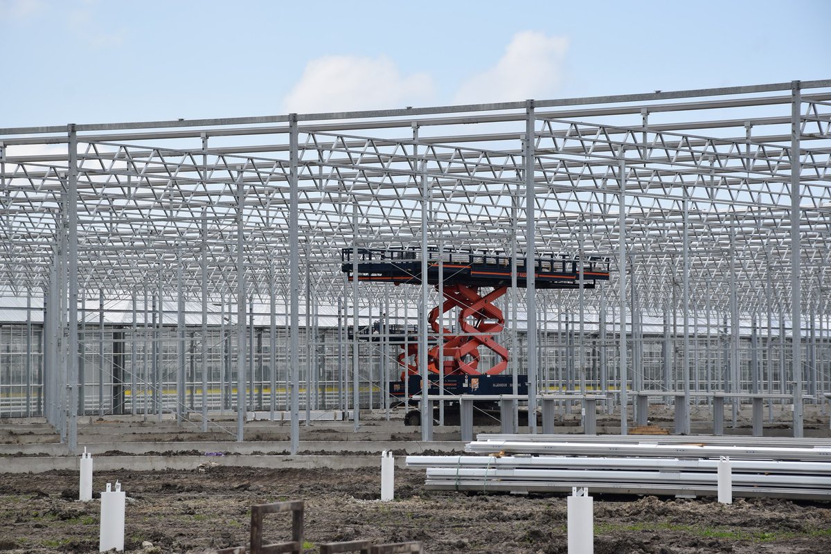 hilverdaflorist's tweet photo. Project update! The greenhouse construction at our main location continues. Bosman Van Zaal and Batist Kassenbouw worked hard on the steel constructionof the greenhouses and started with the glazing.
#greenhouseconstruction #horticulture #flowerbreeding #youngplantproduction https://t.co/rcNGcoIAxe