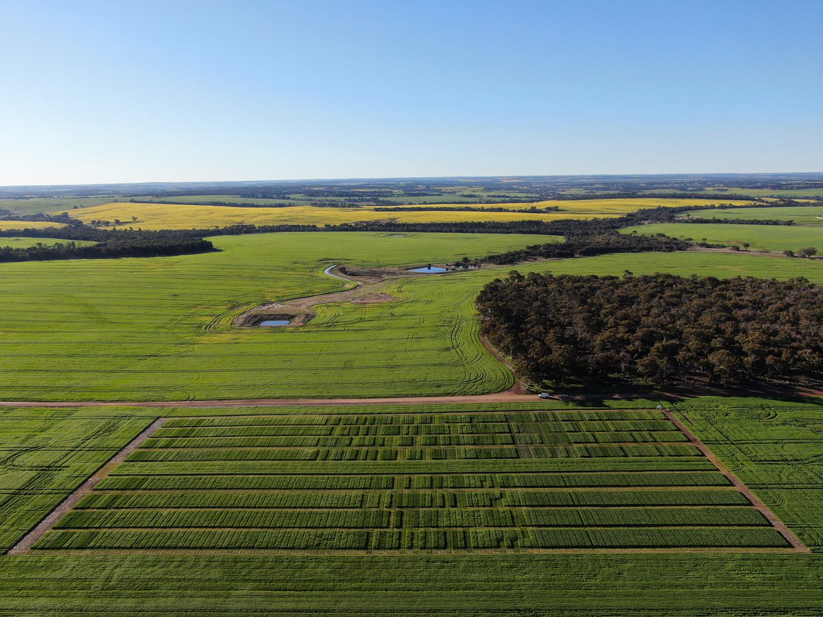 The <a href="/far_australia/">FAR Australia</a> Albany P.Z CTC looking the goods for this mornings informal winter crop walk 👌🏻