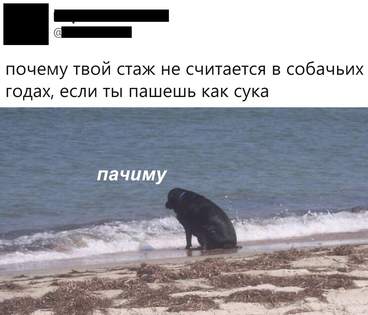 pikabu_vk's tweet photo. Ну почему?

Комментарии: https://t.co/B3JjMNXZN4 https://t.co/xe92azCgW8