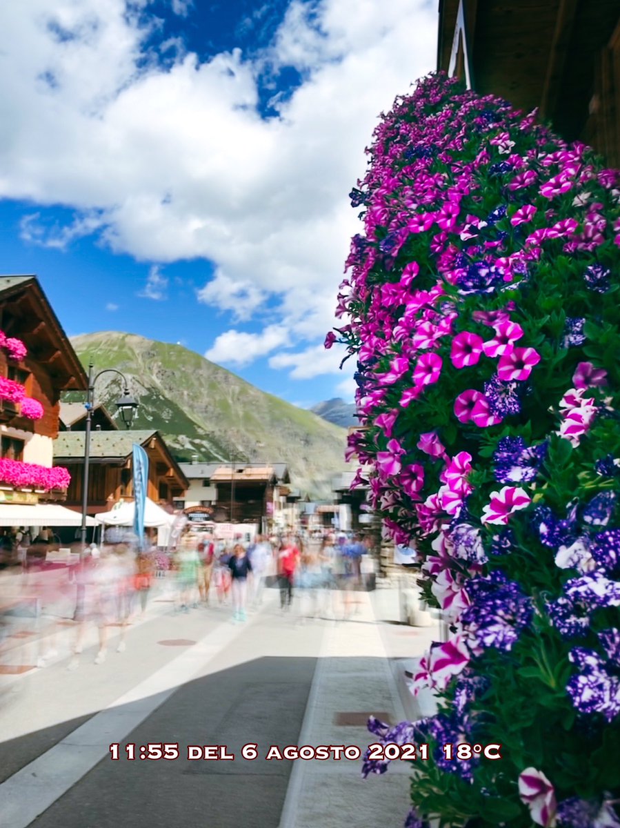 TuttoLivigno's tweet photo. #passeggiata in #centrolivigno, la #temperatura si è alzata notevolmente da #stamattina 👍😜
Scopri di più sulle vie del centro su:
https://t.co/yb3iAduzvF

#livigno #flowers #viafontana #viabondi #viasantantoni #flowerstagram #flowerslovers #shotoniphone #walkingpeople https://t.co/04DLATeMYV