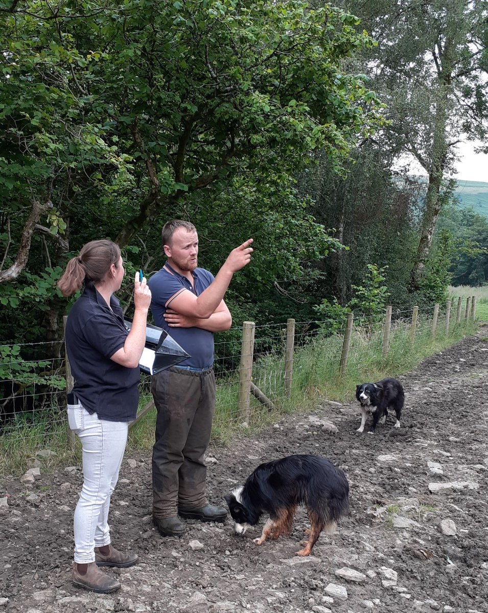 RestoreTheRiver's tweet photo. Great visit this week talking riverbank and habitat improvements on farmland along with @pontcymru.
Such a beautiful landscape! #TaffBargoed #LoveMerthyr #SlowTheFlow https://t.co/4y5UOXtl7q