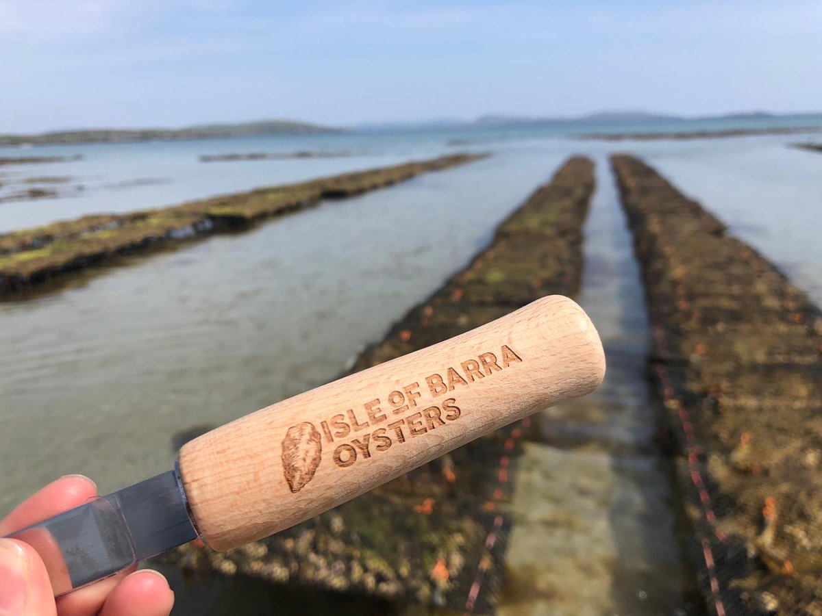 Very interesting to join Gerry MacDonald at Barra Oysters and learn about the complexities of  growing oysters in the sea, over years, and where to place them for optimal growth, as food all from from sea .. very tasty too!! <a href="/gerrybarra/">gerard barra</a> <a href="/barraoysters/">Isle of Barra Oyster</a>
