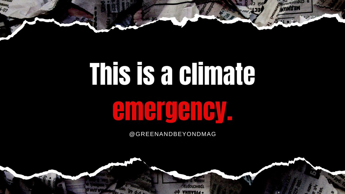 With the drastic increase in wildfire events, don't you think this is a climate emergency?

Click to read more: instagram.com/p/CSM-g7vpohx/

#GreenAndBeyond #EveryDayEarthDay #ReturnToGreen #earthwarrior #climateactivism #sustainablelifestyle #sustainableinfluencers