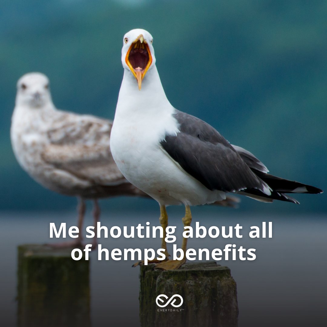 BeEveryDaily's tweet image. We aren’t afraid to shout it - HEMP IS AWESOME!