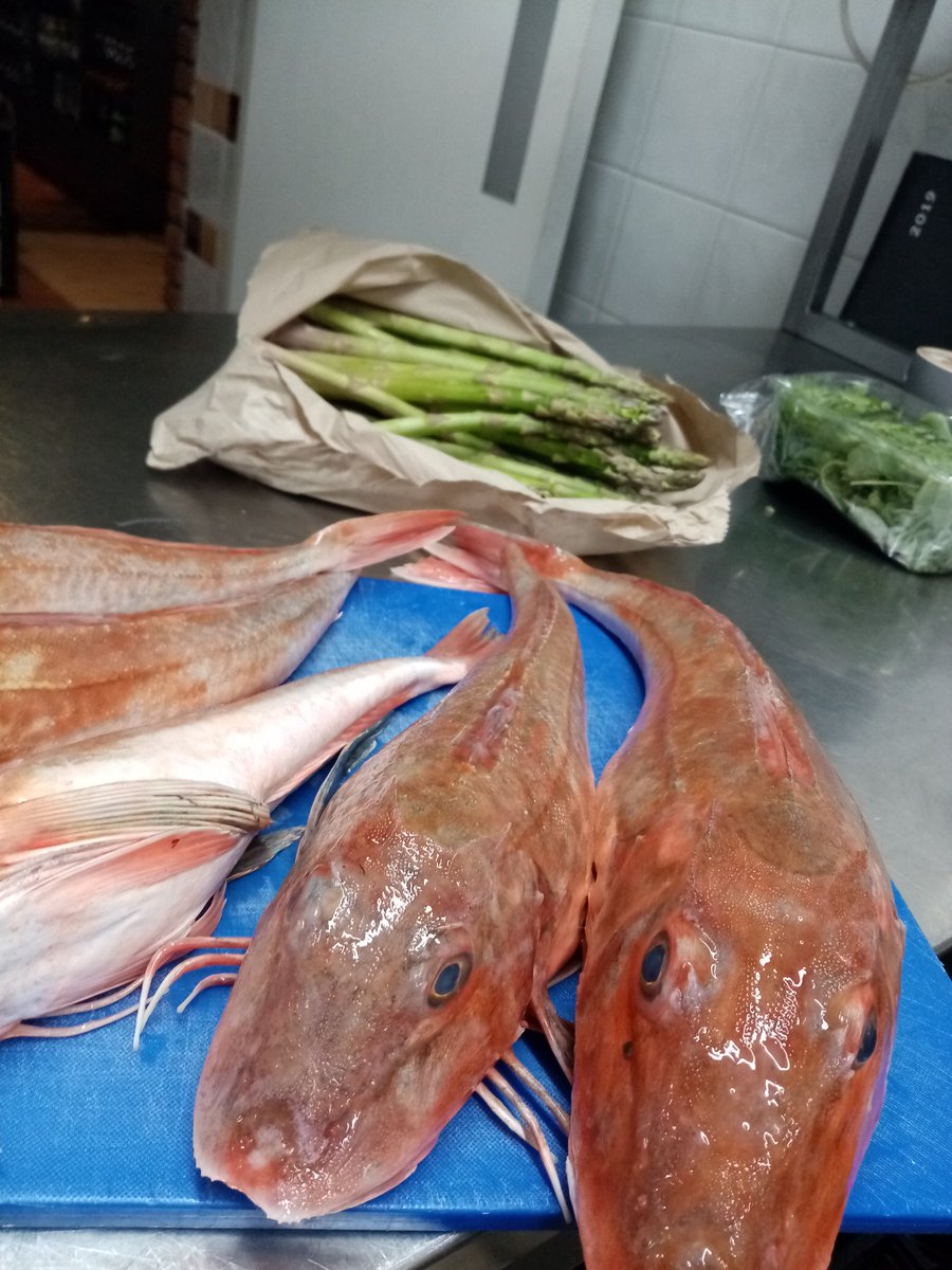 Rob Kenny (@pantrykinsale) on Twitter photo Red Gurnard and Asparagus will defo be part of the fish special in Supper Club tonight <a href="/kinsalesupper/">The Supper Club</a> Red Gurnard and Asparagus will defo be part of the fish special in Supper Club tonight <a href="/kinsalesupper/">The Supper Club</a>