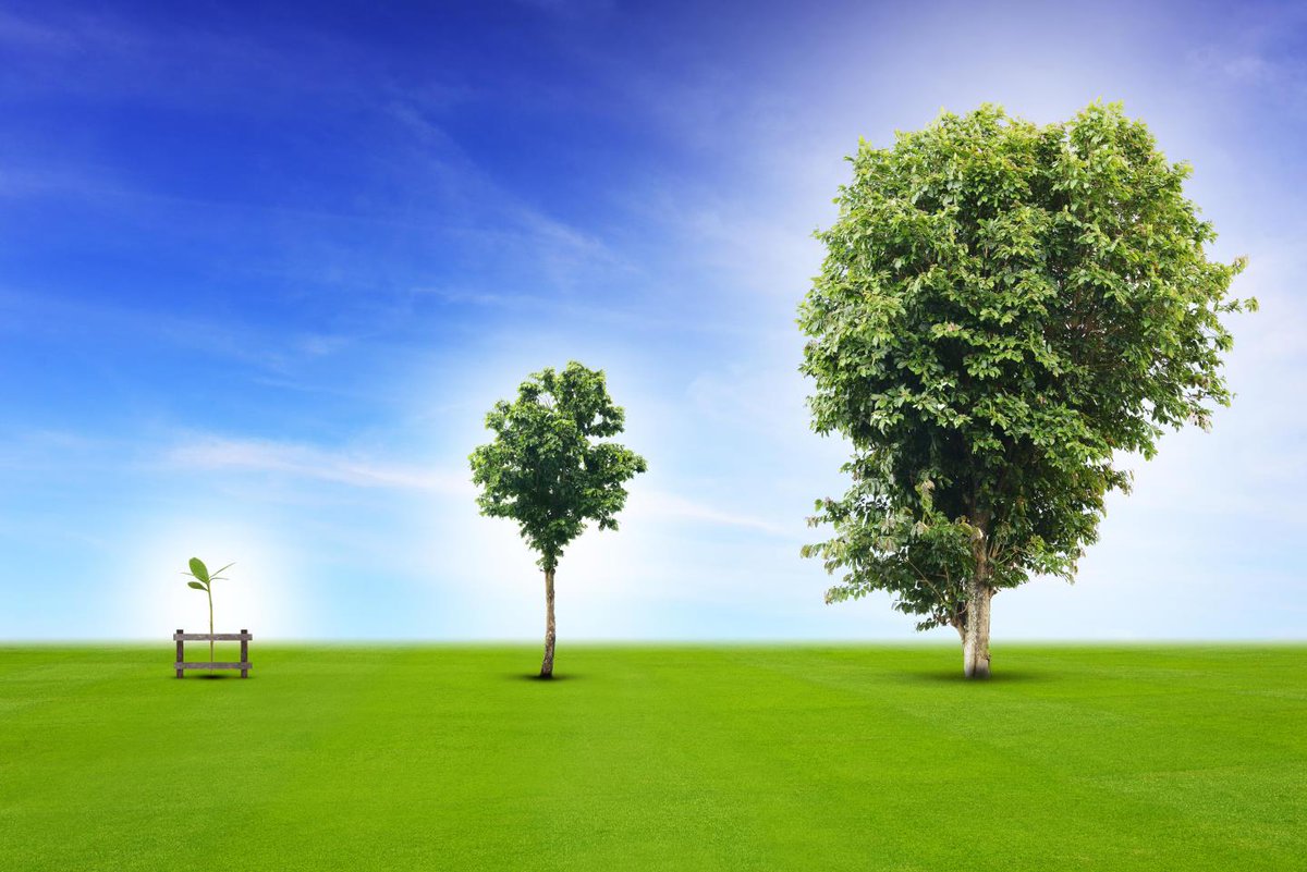 “Viper Innovations, leading the way for SMEs carbon-neutral challenge” buff.ly/3xngvtG
