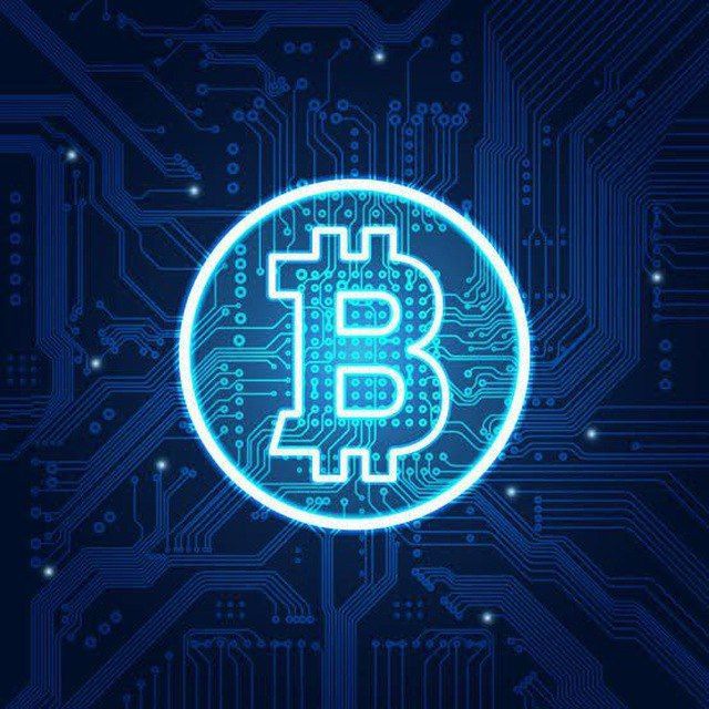 BITTO tweet media