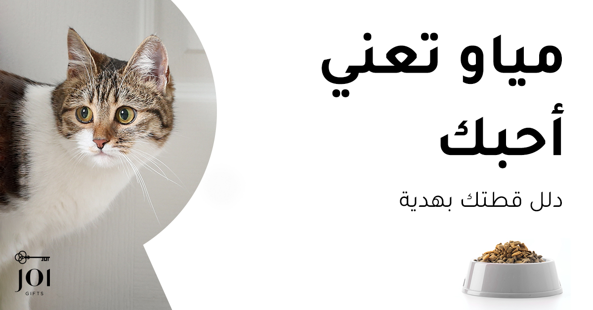 قد تنسى القطط أنها أكلت لكنها لا تنسى أن تحبك! قدّم شيئًا لطيفًا لقطتك من مجموعة هدايا جوي للحيوانات الأليفة. #CatsOfTwitter