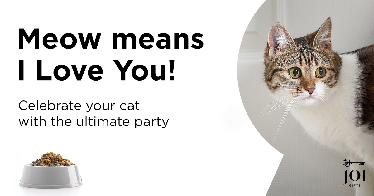 Despite acting ignorant, indeed, your cat will never stop loving you. Gift your cat something cute from Joi’s pets gift collection. #CatsOfTwitter #pets