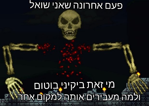 glitchony's tweet photo. מימ מימ מימ מימ https://t.co/IIFaJqG0WN