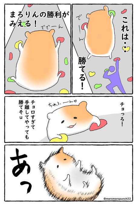 スポーツクライミング を含むマンガ一覧 いいね順 ツイコミ 仮