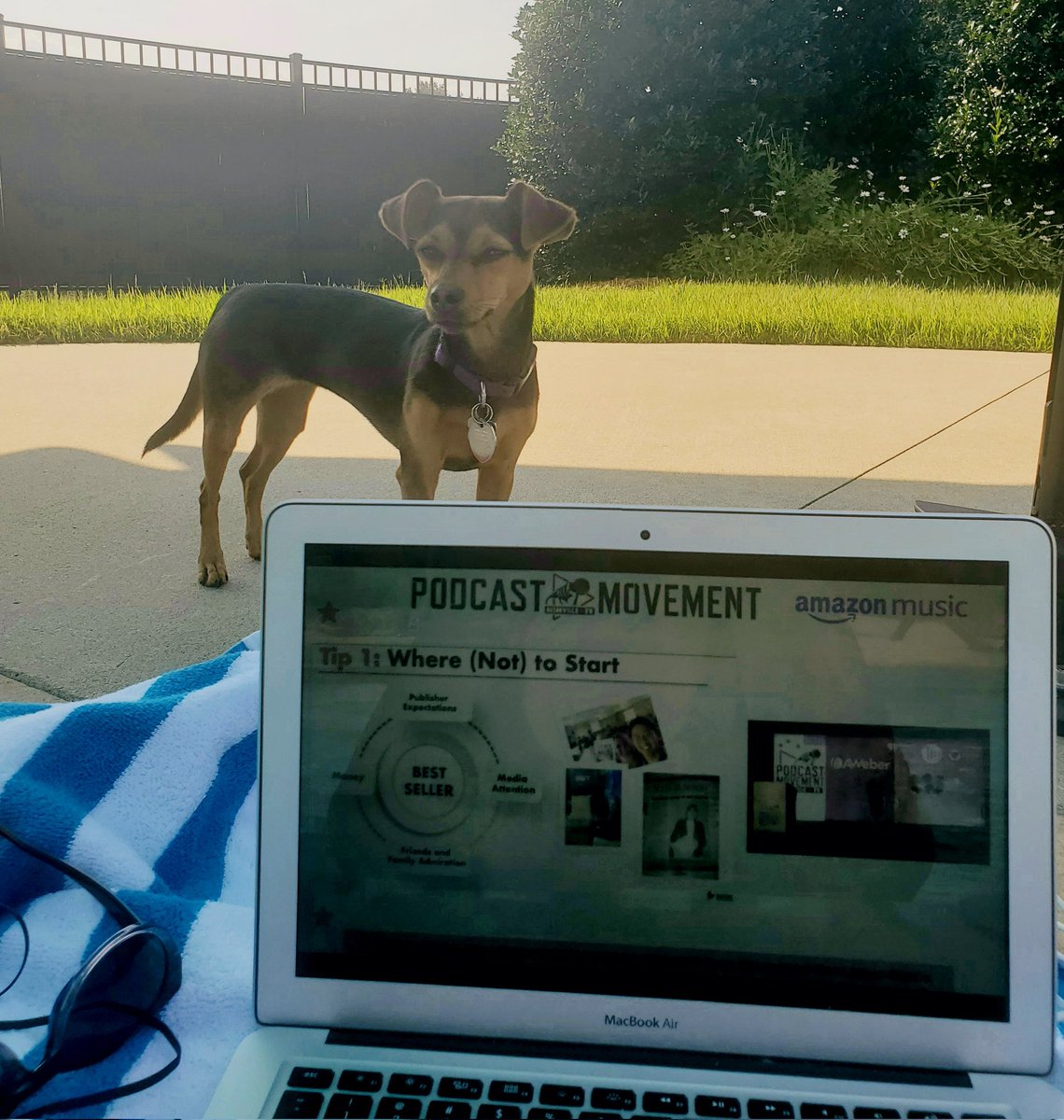 JennAndJules's tweet photo. When your pup is jealous from all you're learning at @PodcastMovement. #PM21 #PodcastMovement https://t.co/1G0snlkSsr