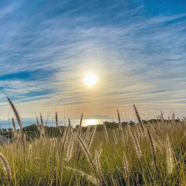 A little drive out on #ClarenceDrive is always a good idea 👌 via Paul Lee Lotter

Tag your local shots with #mysomersetwest to be featured.