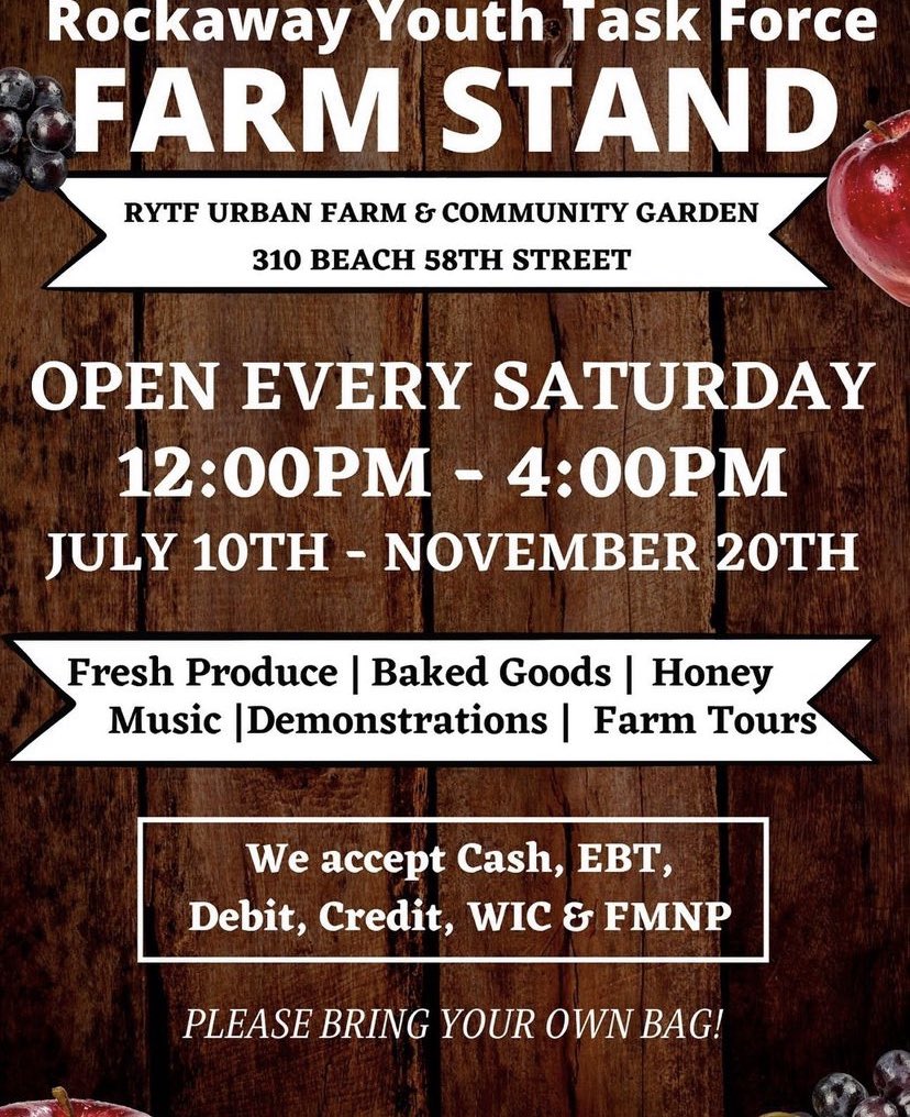 Looking for farm fresh veggies? Stop by our youth run farm stand tomorrow anytime from 12:00PM-4:00PM! #FoodJustice #FarRockaway #UrbanFarming