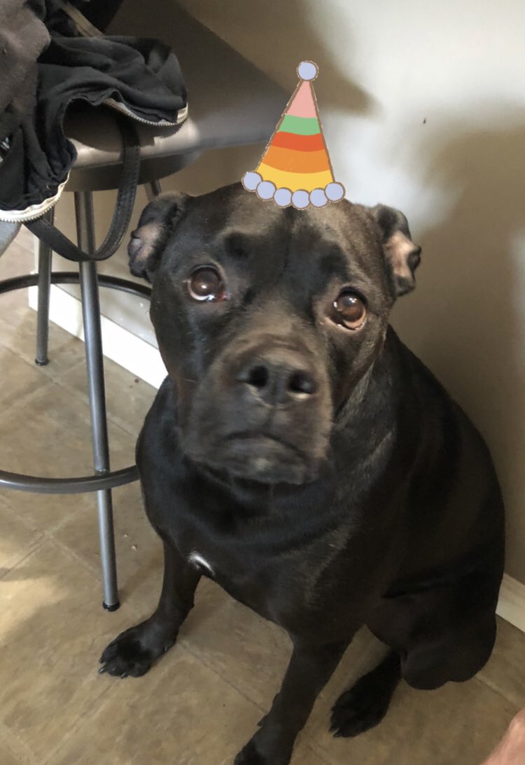 She’s 4! And couldn’t be happier about it! #maggie #ourgirl