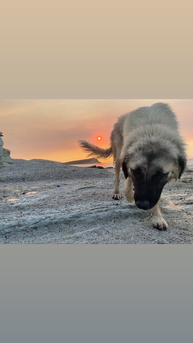 m.b.nft (@aworldformyself) on Twitter photo 