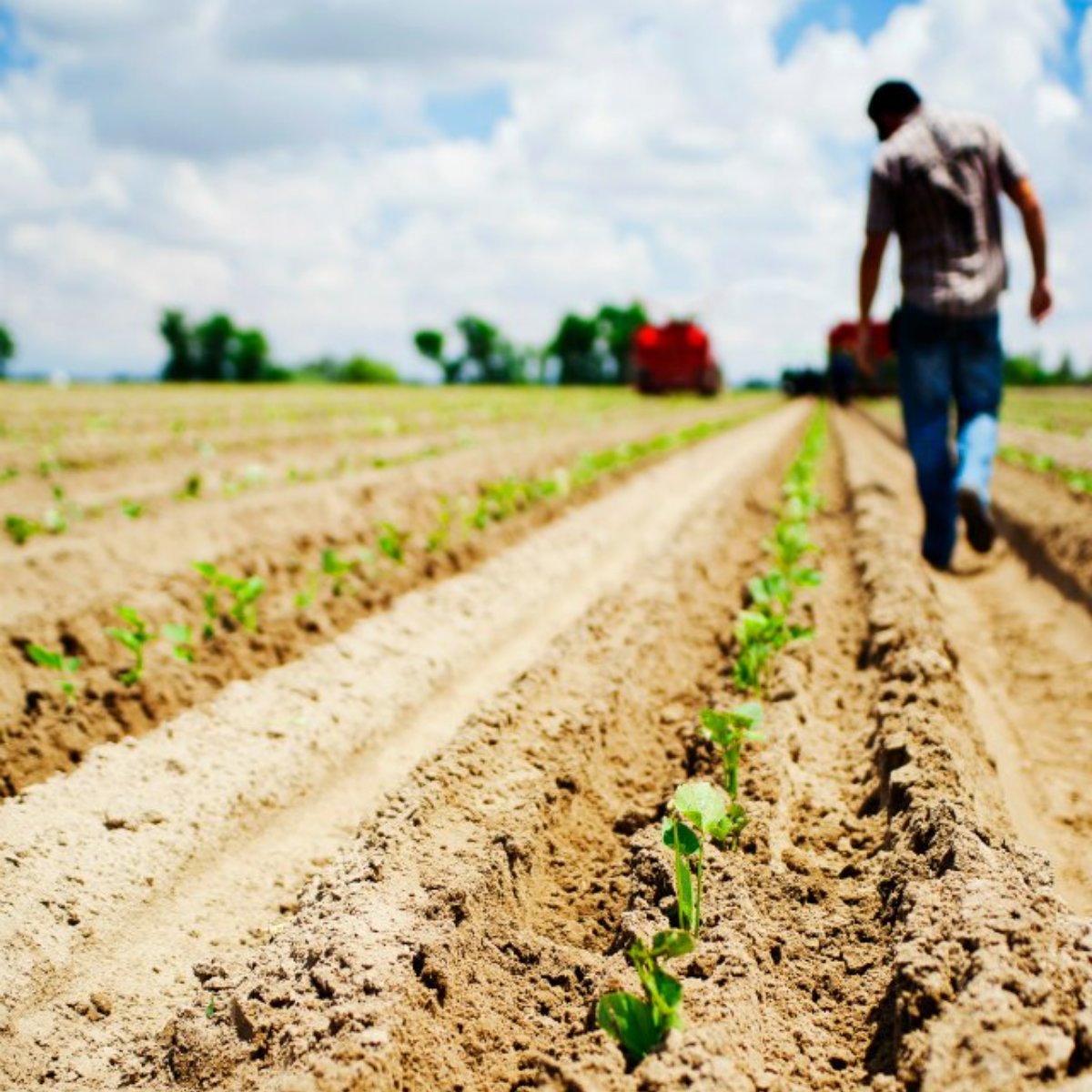 Homegrown and homemade here in Central California. #CorbinCash #Atwater #Distillery