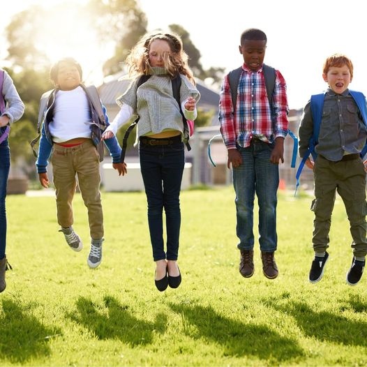 Amy Trombetti(she/her/hers) tweet media