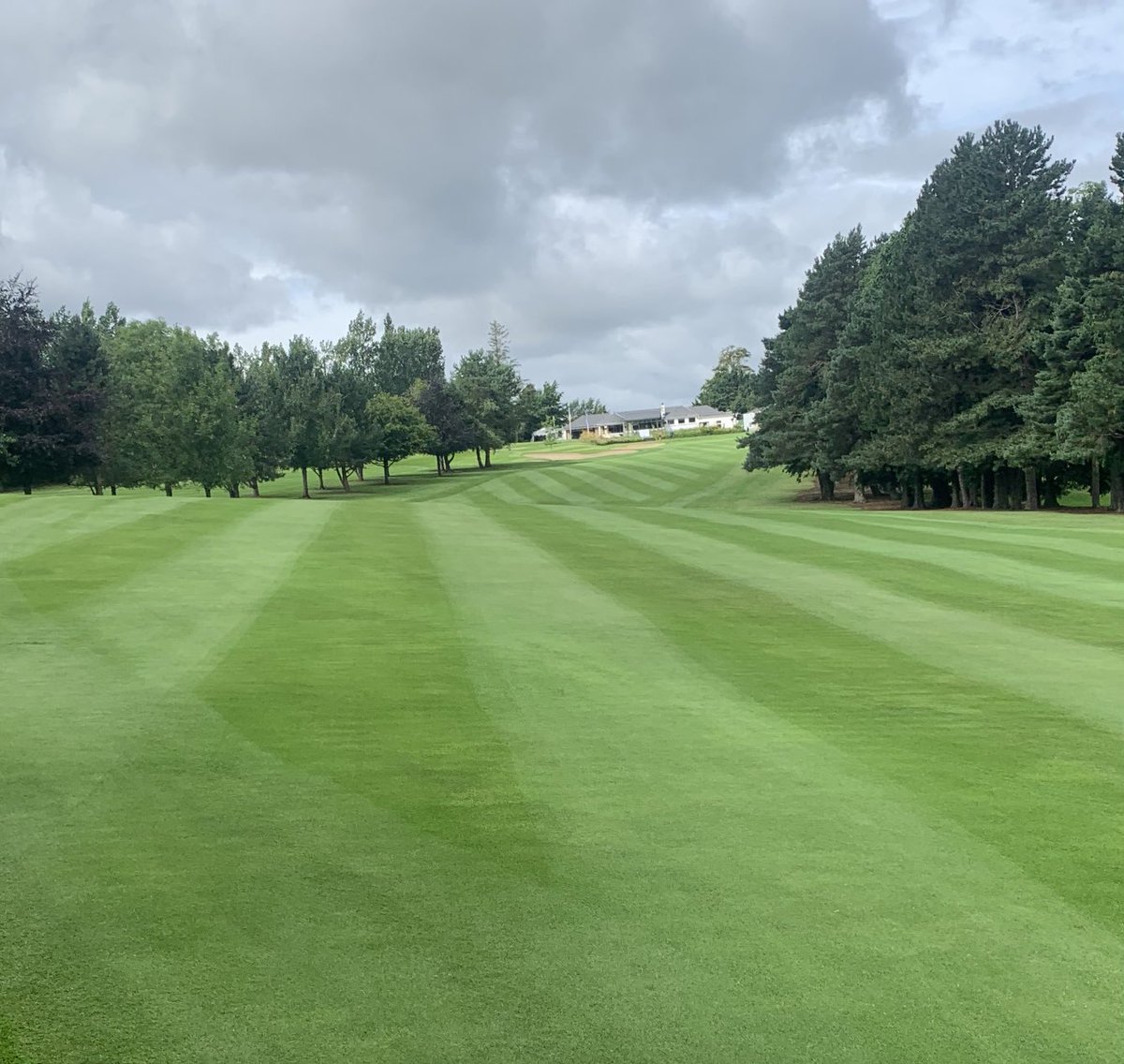 ⁦Great work from the green keeping team preparing the course ⁦⁩ ⁦<a href="/NaasGC/">Naas Golf Club</a>⁩ for open week and next weeks ⁦⁦<a href="/GolfIreland_/">Golf Ireland</a>⁩  Irish Senior Women’s Open Championship ⁦<a href="/paulamsm60/">Paula Murray</a>⁩ @TurfgrassC⁩ ⁦⁩ <a href="/reGOLFdesign/">REGOLF</a>⁩ #turfo’s☘️