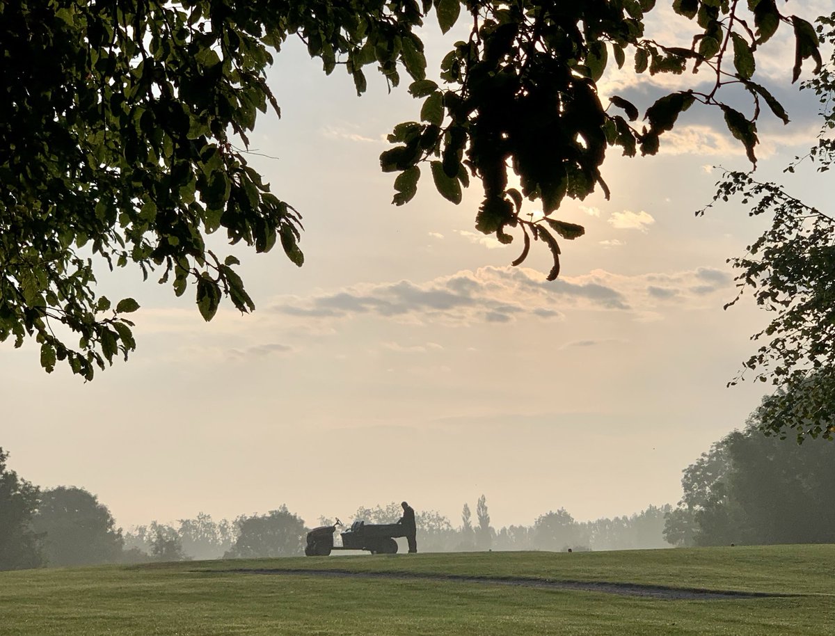 David Behan tweet media