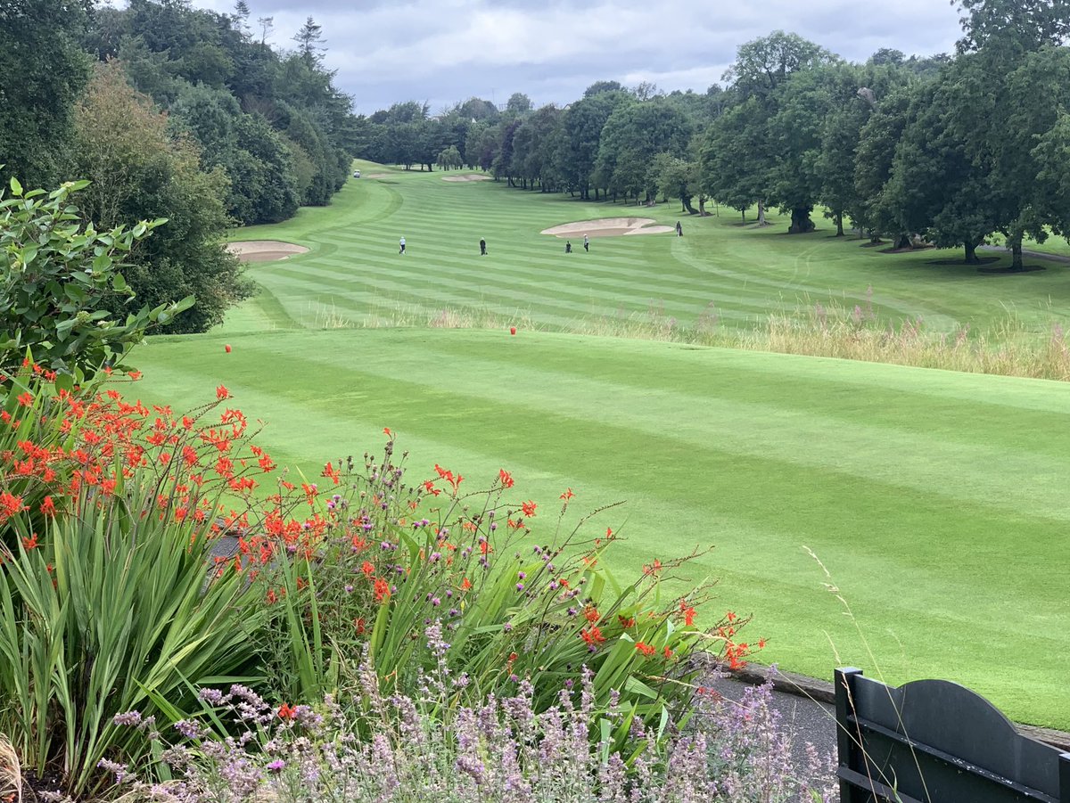 David Behan tweet media