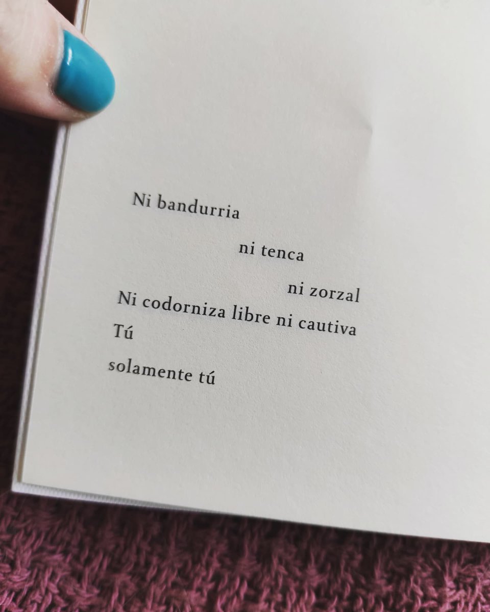 Karen Glavic 🍉 tweet media