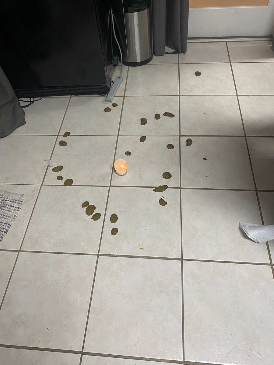 Pray for me 🤮 it smells so bad 😭 Thanks TheOliverFlynn for your poopy