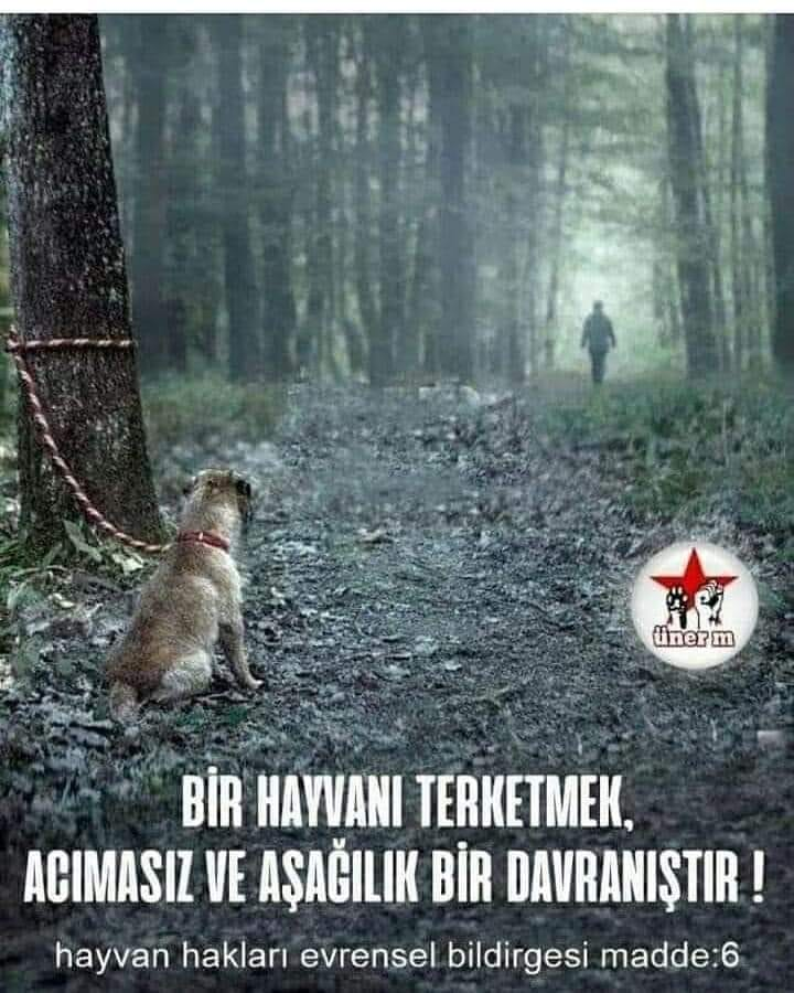Vicdanı olmayan yapar bunu 😡😡😡😡