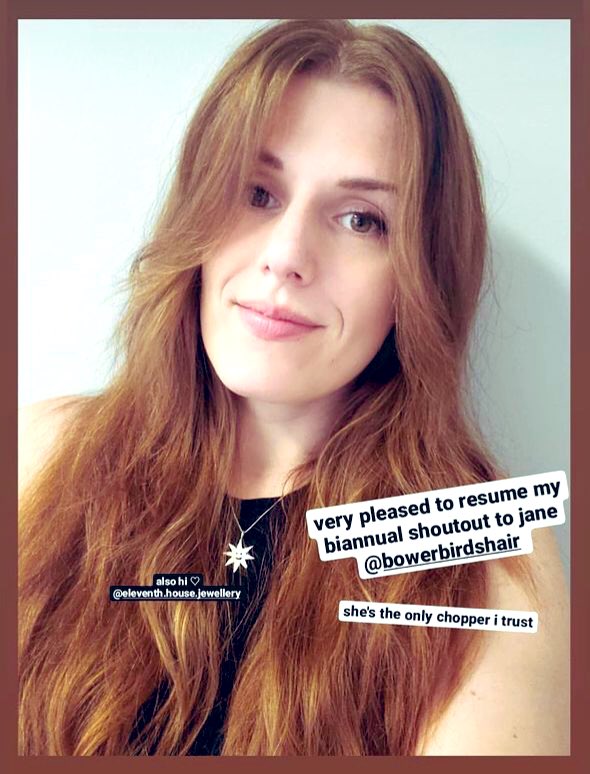 BowerBirdsHair tweet media