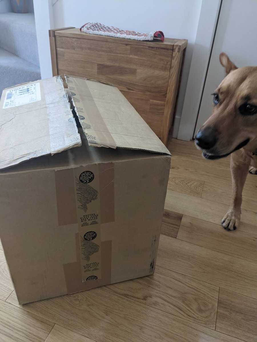 LK_Fitzpatrick's tweet image. Got this rather exciting @wildernessbeers delivery this week! Delighted with the #beer goodies inside and Seaweed loved the repurposing of the packaging into a rummaging game! #SomethingForMe #SomethingForDoggo
