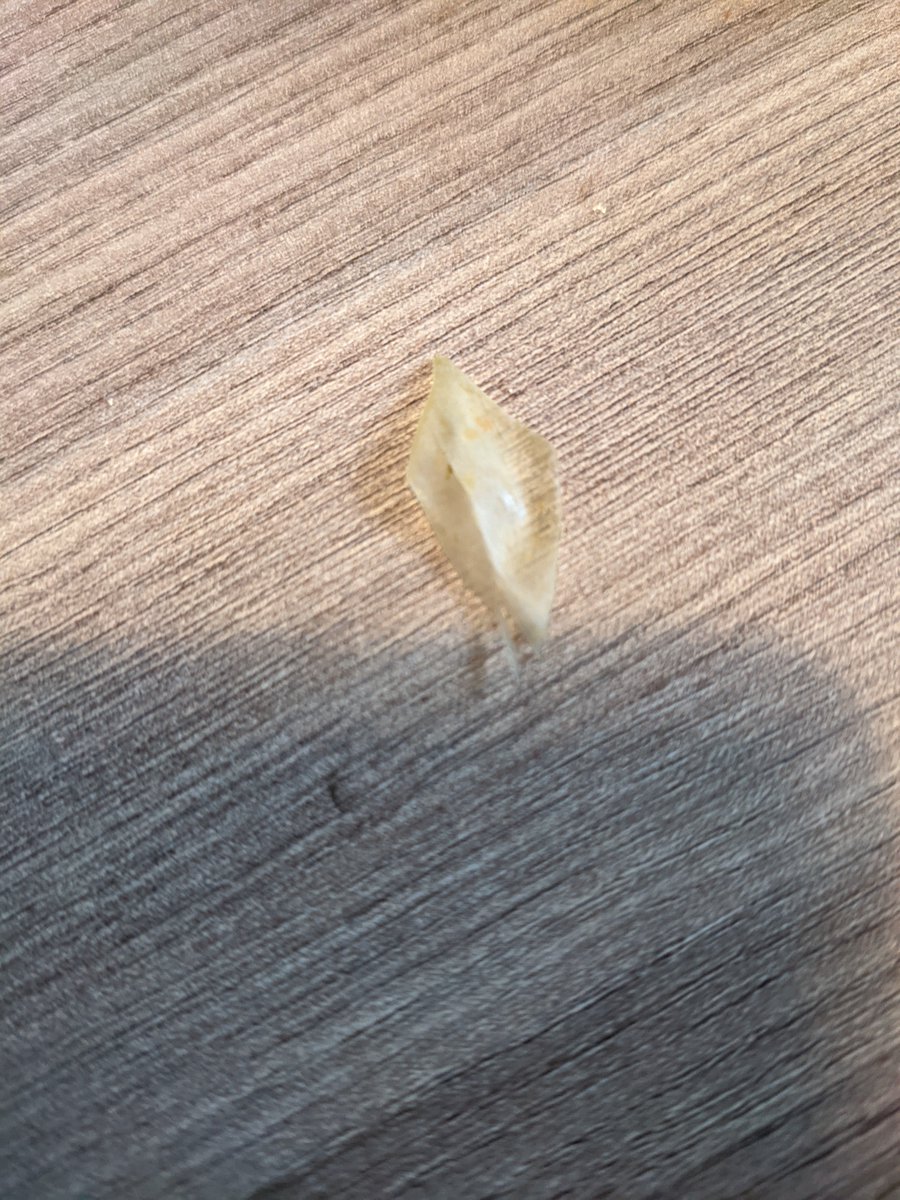 vanstratts1's tweet photo. @HeinzUK my toddler has practically made himself sick having to try and get this out of his throat that was from one of your cottage pie toddler meals. Absolutely disgusted. Are meals not checked and safety measures in place to stop this from happening?!#heinz #henizfail https://t.co/oq46jv9dOa