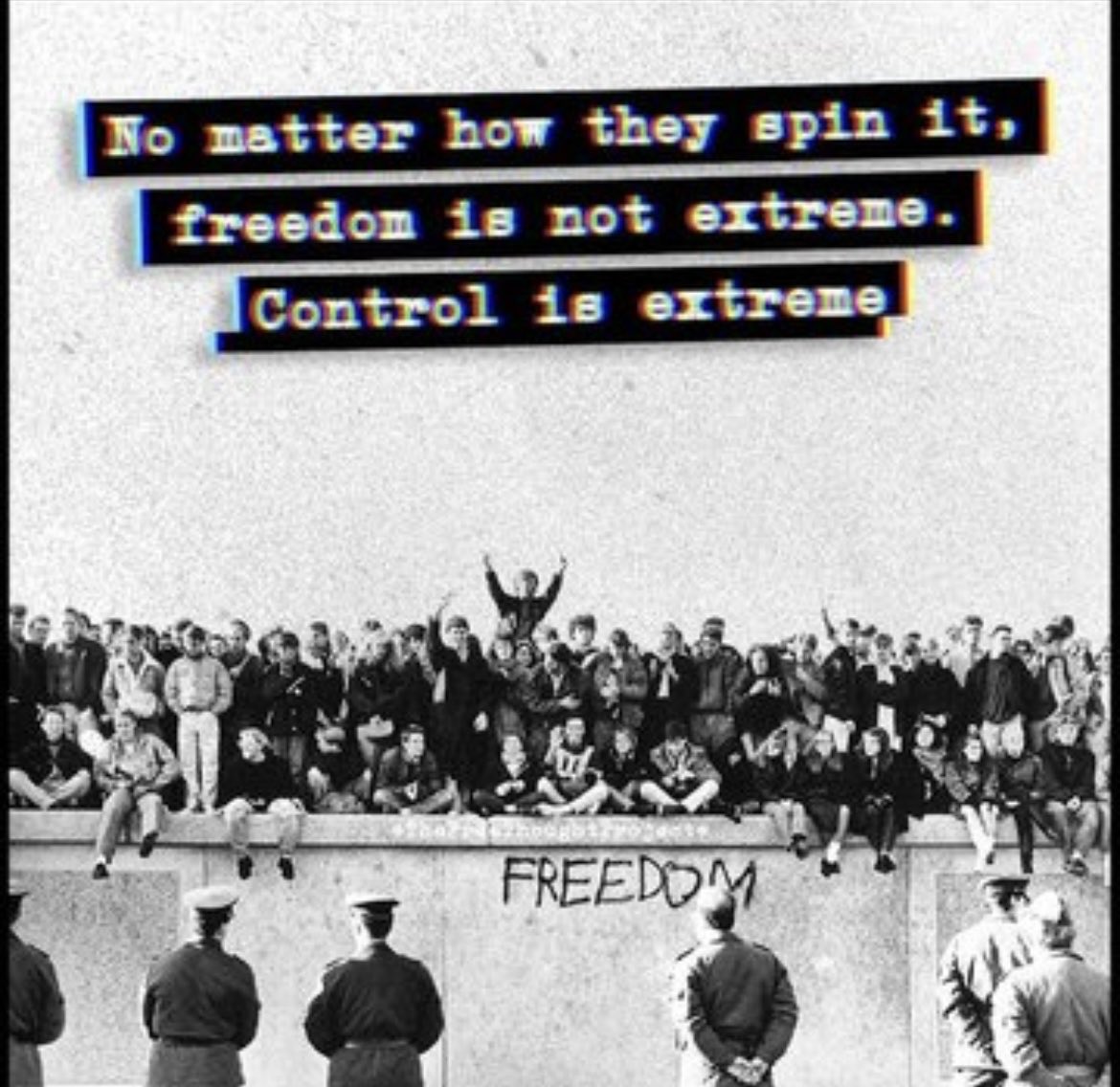 The Blue Feathered Robin (@feathered_robin) on Twitter photo 