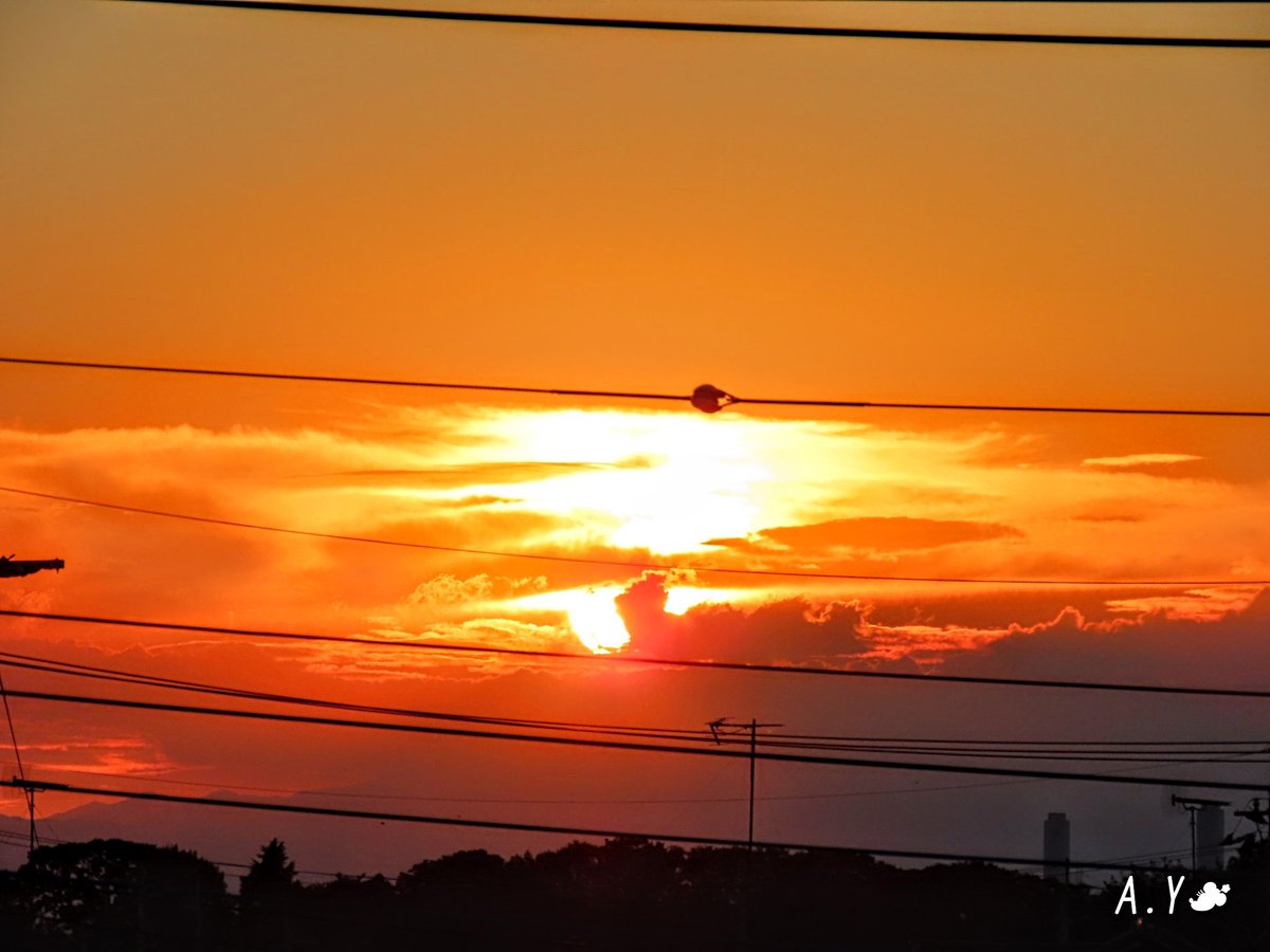 yumeasutw's tweet photo. 夕空と入道雲🌇

お疲れ様です🏁
よく晴れた南西の #夕空 に、ムクムクと発達中の #入道雲 ☁️
日没後、まるで魔法のランプの様な #かなとこ雲 に変化しその右側には🌟 #金星 が輝き始めました。

#天気の図鑑
#雲の教室
#空の名前
#マジックアワー
#夕焼け #鉄塔 #電線 #電柱
#a2021 #a0806 #a202108 https://t.co/0OC7MSXfTa