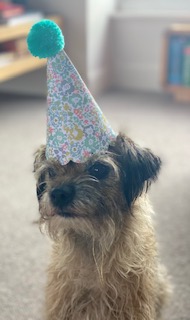 southfieldchat's tweet photo. Apawrentlee 'tis my burfday.
I am 9 (an still younger than that @mrsmarinastarke, due to my sylph like figure*)

*nuffing like hers

Yoo will be pleased to know I got bikkit after

#btposse https://t.co/MSgiSX8Y70