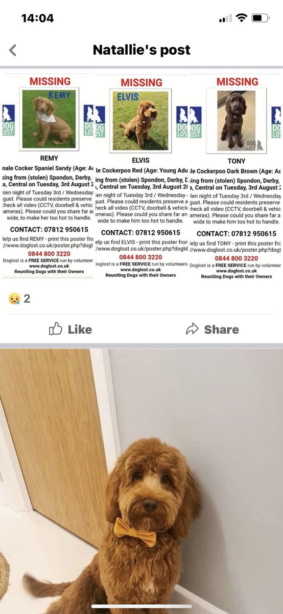 Come on Twitter do your thing. Please share again. Thanks