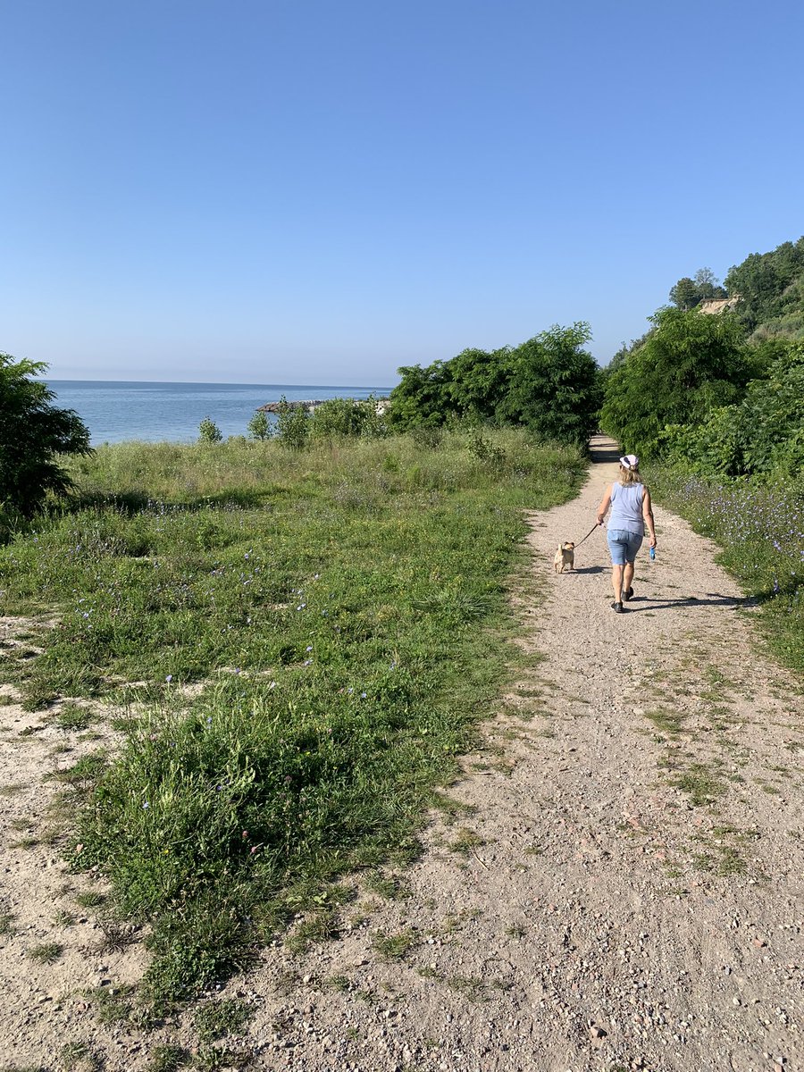 LongoRobert's tweet photo. Thanks @breakfasttv for the tip on the “secret” walks. #dorismccarthytrail https://t.co/Op2j4re6Cl