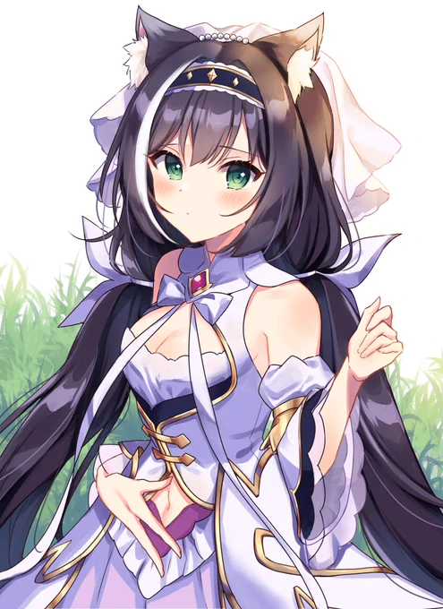 おへそ見せてくれるキャルちゃん
#プリコネR 