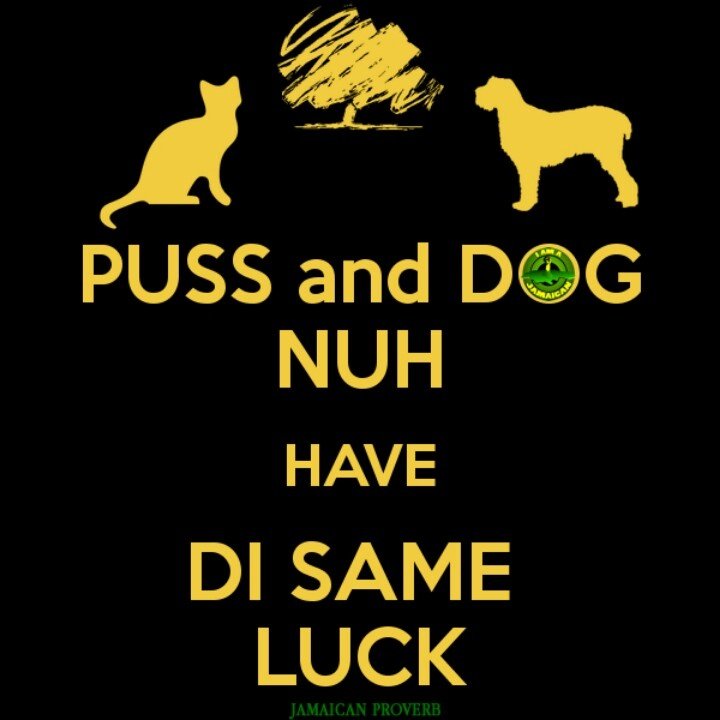 SciTechMEAC's tweet image. 🇯🇲🇯🇲🇯🇲 ✊🏽 Happy 59th Jamaican Independence Day! ✊🏽 🇯🇲🇯🇲🇯🇲
Here are some of my favourite proverbs: