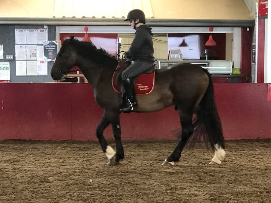 Just 4wks to go till our September Lanimer Event, our Champion, Lords &amp; Outriders on their 1st riding lesson this morning.
Looking very comfortable guys! We cant wait to see you in our Lanimer Costume Parade 4/9/21!
Thanks again to the team at the Scottish Equi for their support!